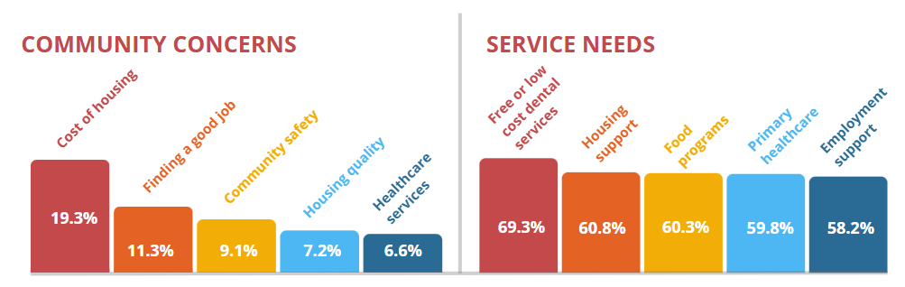 Community concerns and service needs